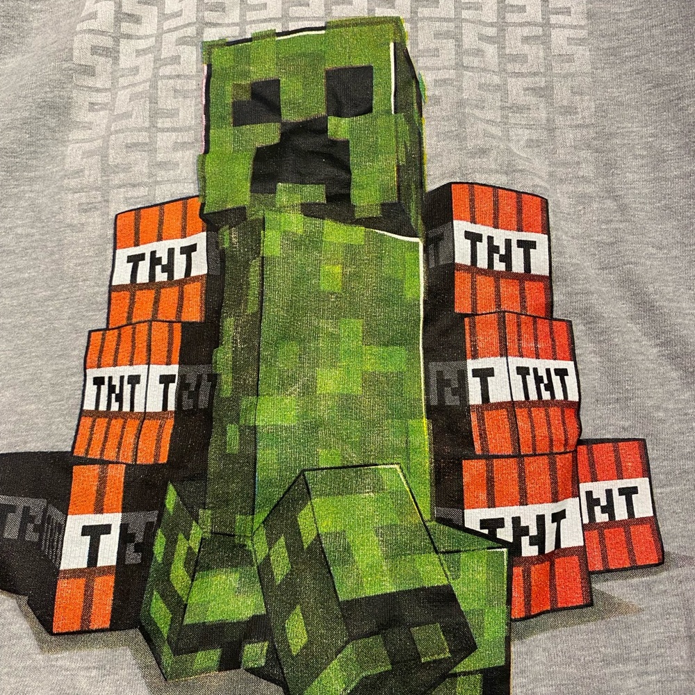 Minecraft gray hoodie‎ youth size 10/11 large